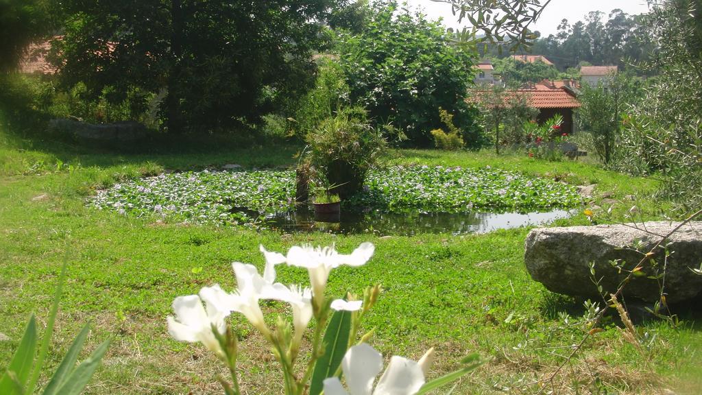 Quinta Do Riacho Villa Póvoa de Lanhoso Kültér fotó