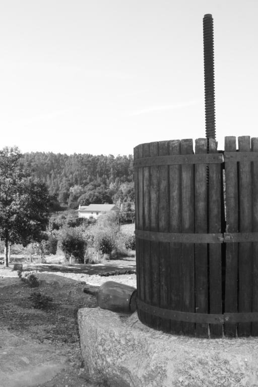 Quinta Do Riacho Villa Póvoa de Lanhoso Kültér fotó